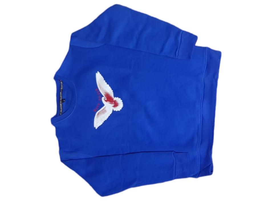 Stylish Blue Cotton Fleece Sweatshirt for Men & Women – Embroidered Design